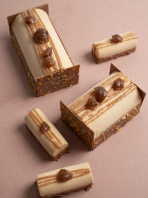 Bûche marron cassis